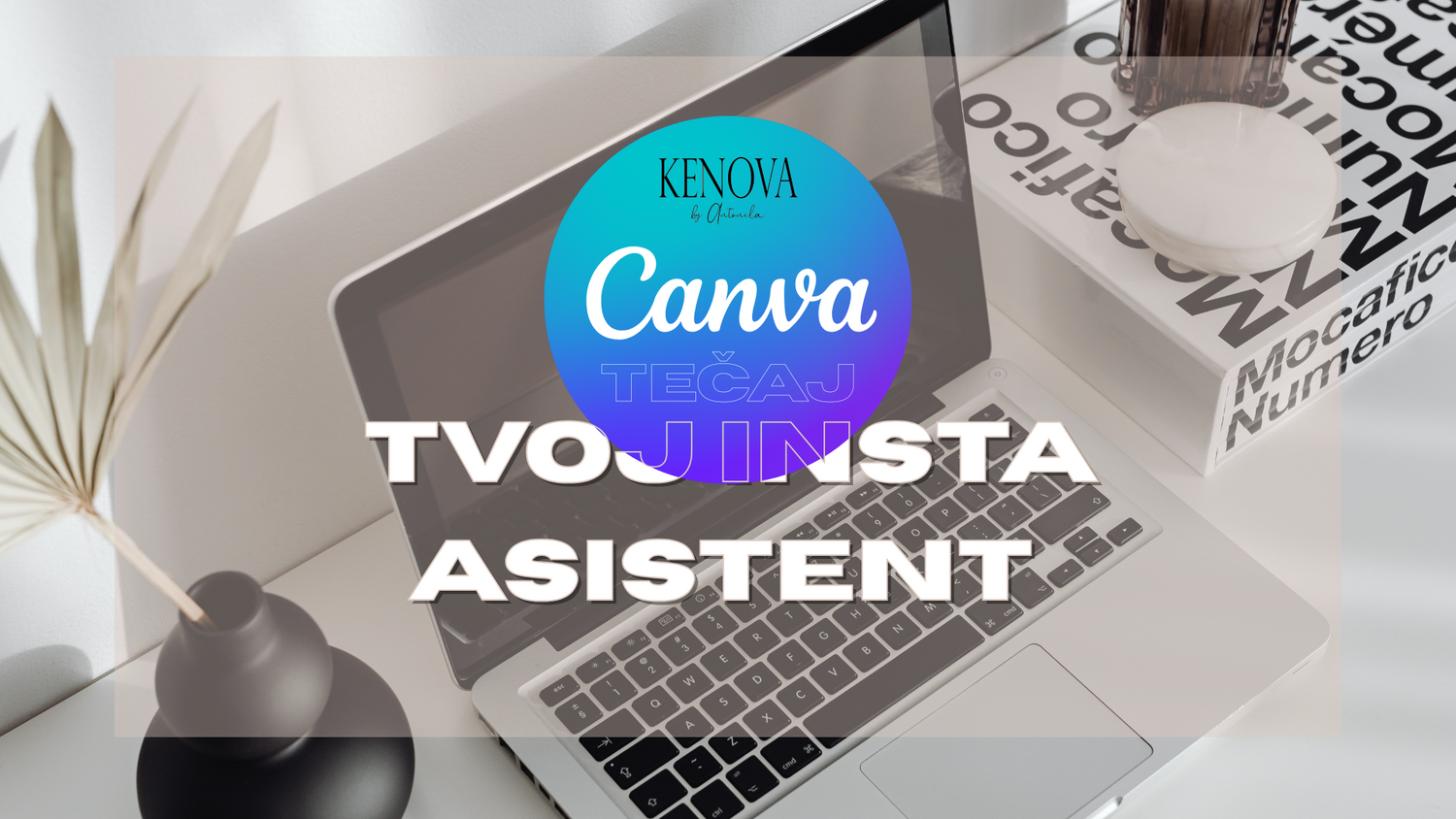 Zakaj potrebuješ Canva tečaj?