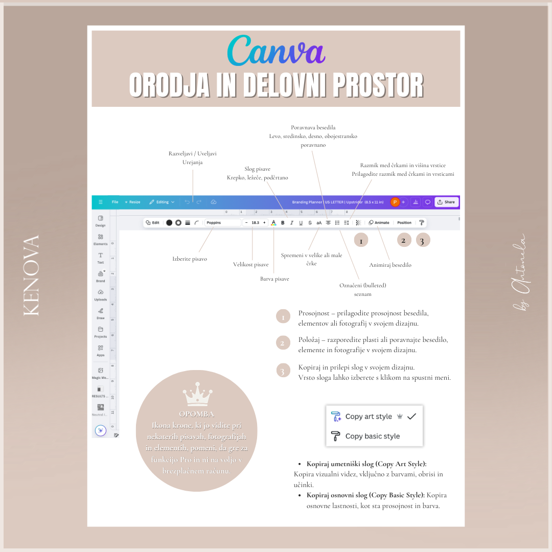 Oblikuj sama: Canva priročnik
